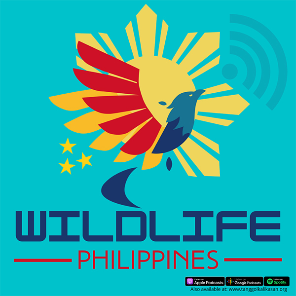 Wildlife Philippines